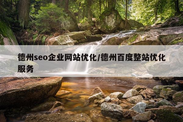 德州seo企业网站优化/德州百度整站优化服务