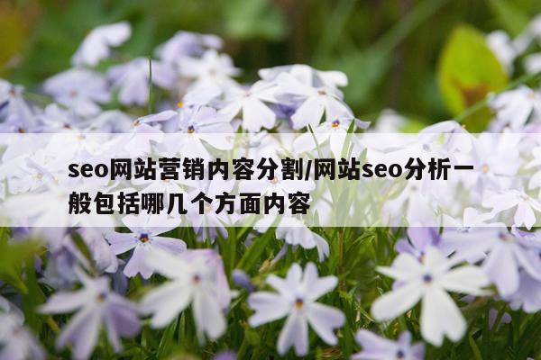 seo网站营销内容分割/网站seo分析一般包括哪几个方面内容