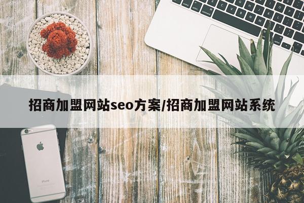 招商加盟网站seo方案/招商加盟网站系统