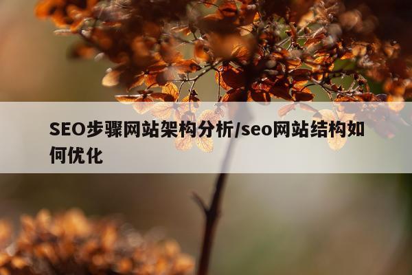 SEO步骤网站架构分析/seo网站结构如何优化