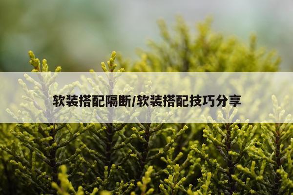 软装搭配隔断/软装搭配技巧分享