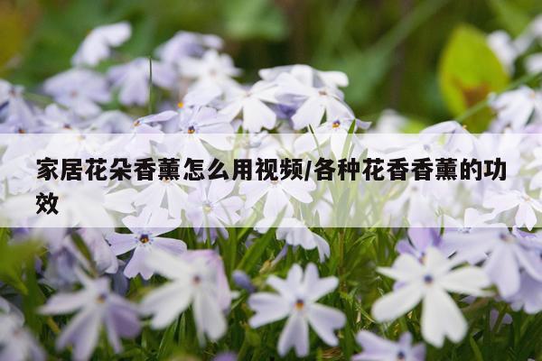 家居花朵香薰怎么用视频/各种花香香薰的功效