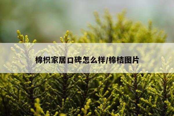 棉枳家居口碑怎么样/棉桔图片