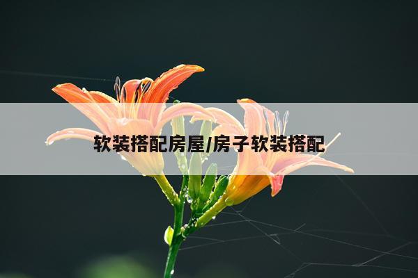 软装搭配房屋/房子软装搭配