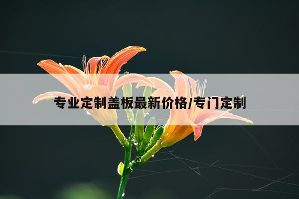 专业定制盖板最新价格/专门定制