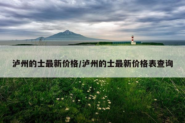 泸州的士最新价格/泸州的士最新价格表查询