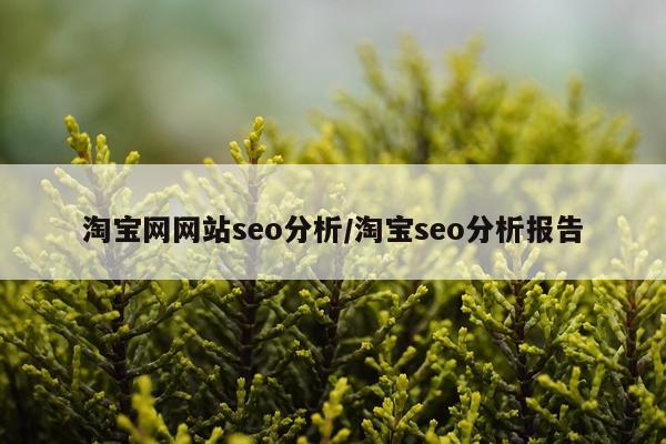 淘宝网网站seo分析/淘宝seo分析报告
