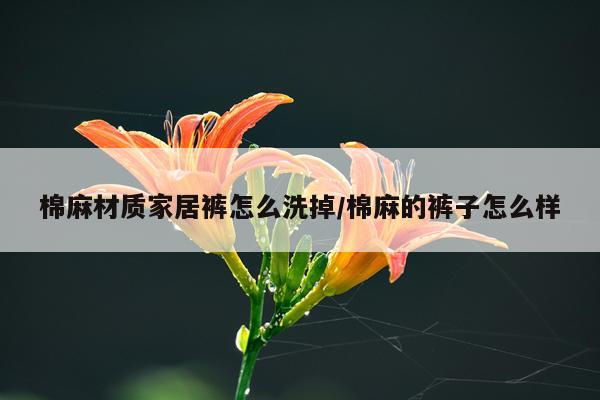 棉麻材质家居裤怎么洗掉/棉麻的裤子怎么样