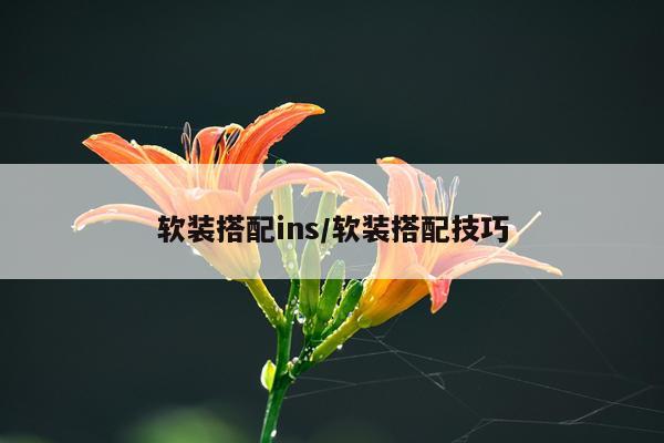 软装搭配ins/软装搭配技巧