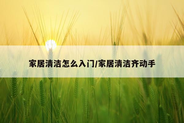 家居清洁怎么入门/家居清洁齐动手