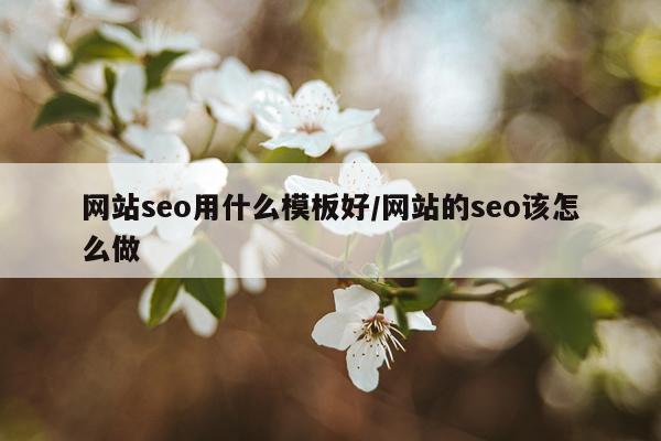 网站seo用什么模板好/网站的seo该怎么做