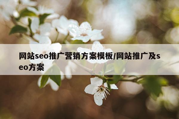 网站seo推广营销方案模板/网站推广及seo方案