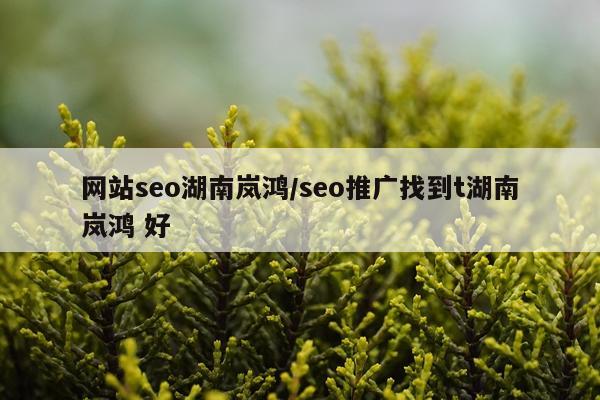 网站seo湖南岚鸿/seo推广找到t湖南岚鸿 好