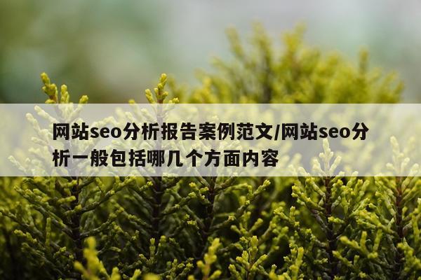 网站seo分析报告案例范文/网站seo分析一般包括哪几个方面内容