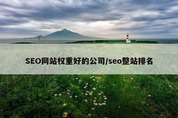 SEO网站权重好的公司/seo整站排名