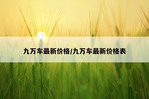 九万车最新价格/九万车最新价格表