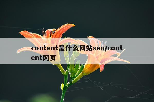content是什么网站seo/content网页