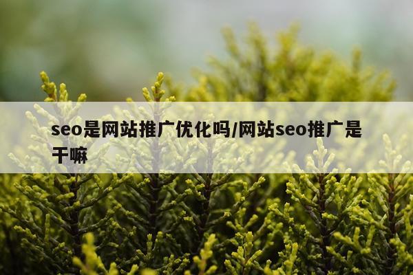 seo是网站推广优化吗/网站seo推广是干嘛