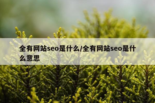 全有网站seo是什么/全有网站seo是什么意思