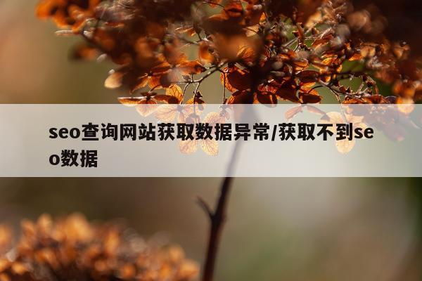 seo查询网站获取数据异常/获取不到seo数据