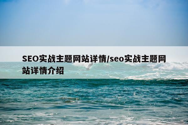 SEO实战主题网站详情/seo实战主题网站详情介绍