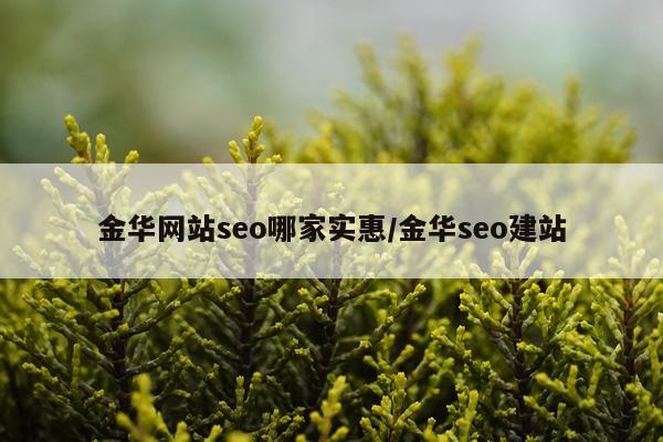 金华网站seo哪家实惠/金华seo建站