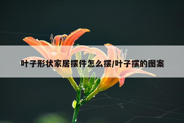 叶子形状家居摆件怎么摆/叶子摆的图案