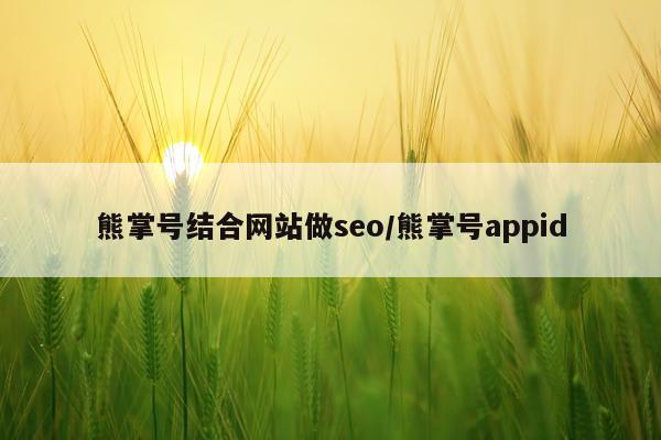 熊掌号结合网站做seo/熊掌号appid
