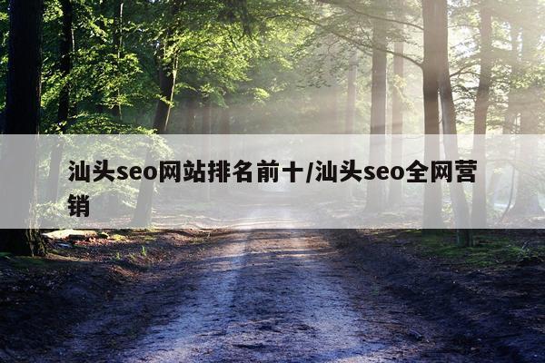 汕头seo网站排名前十/汕头seo全网营销