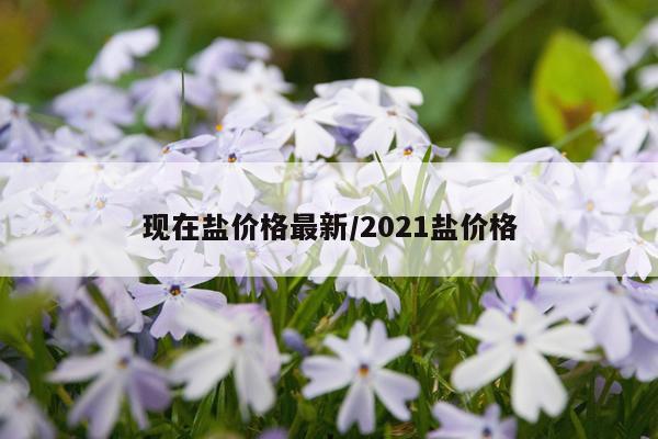 现在盐价格最新/2021盐价格