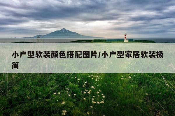 小户型软装颜色搭配图片/小户型家居软装极简