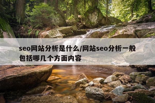 seo网站分析是什么/网站seo分析一般包括哪几个方面内容