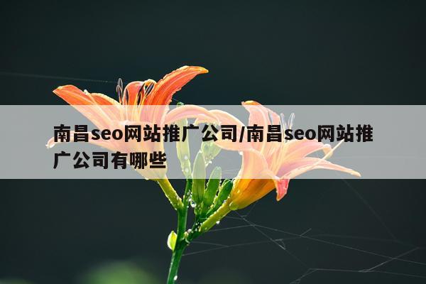 南昌seo网站推广公司/南昌seo网站推广公司有哪些