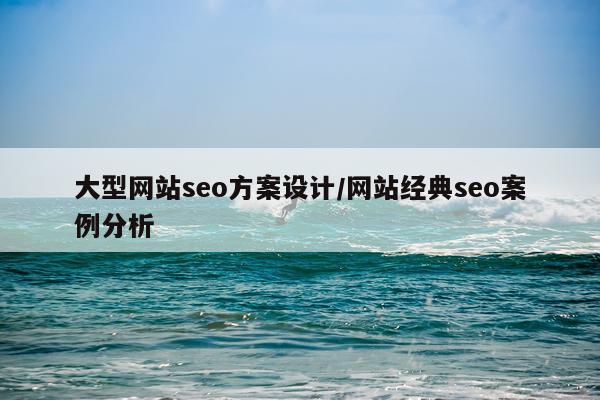 大型网站seo方案设计/网站经典seo案例分析