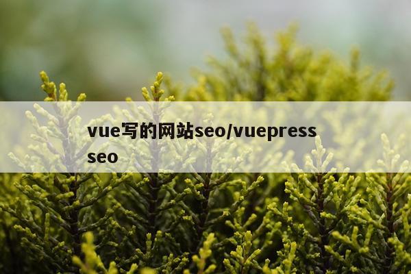 vue写的网站seo/vuepress seo