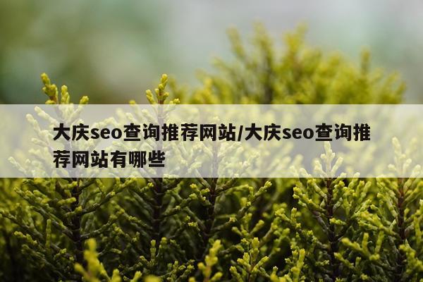 大庆seo查询推荐网站/大庆seo查询推荐网站有哪些