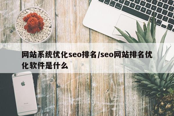 网站系统优化seo排名/seo网站排名优化软件是什么