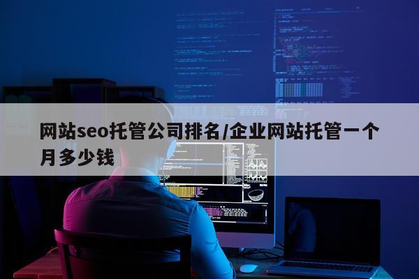 网站seo托管公司排名/企业网站托管一个月多少钱