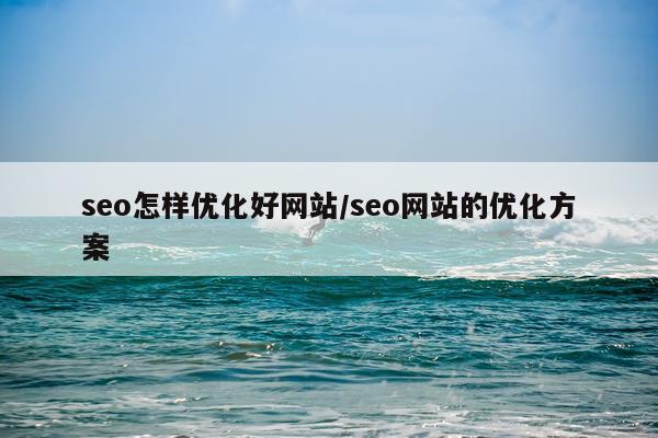 seo怎样优化好网站/seo网站的优化方案
