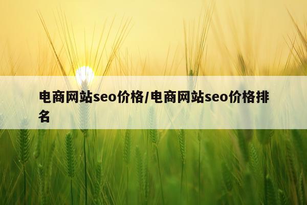电商网站seo价格/电商网站seo价格排名