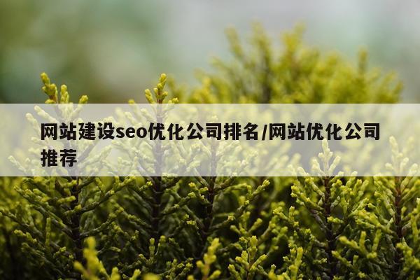 网站建设seo优化公司排名/网站优化公司推荐