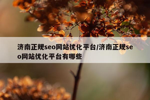 济南正规seo网站优化平台/济南正规seo网站优化平台有哪些