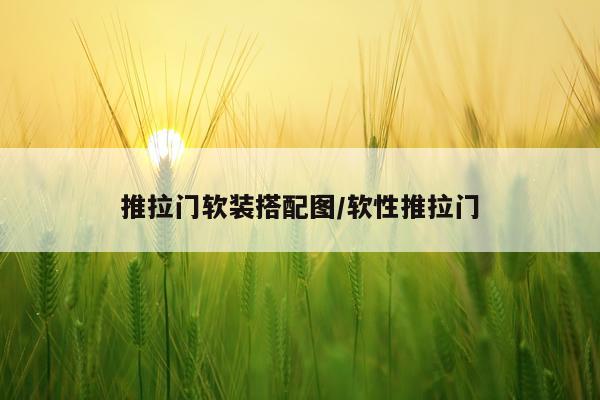 推拉门软装搭配图/软性推拉门