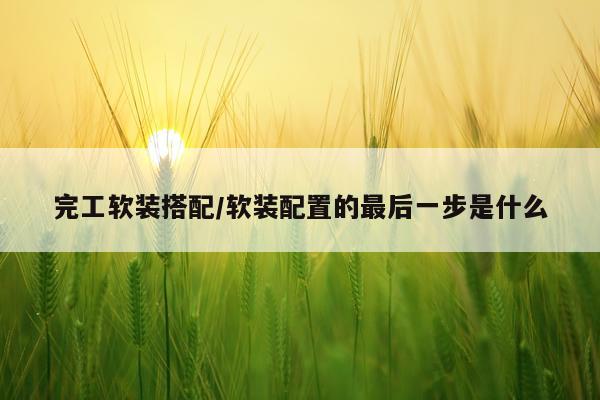 完工软装搭配/软装配置的最后一步是什么