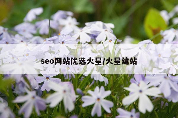 seo网站优选火星/火星建站