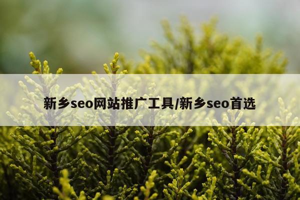 新乡seo网站推广工具/新乡seo首选