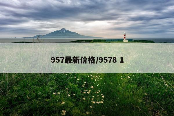 957最新价格/9578 1