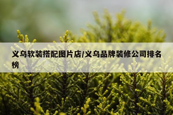 义乌软装搭配图片店/义乌品牌装修公司排名榜