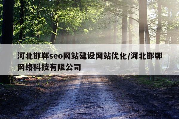 河北邯郸seo网站建设网站优化/河北邯郸网络科技有限公司