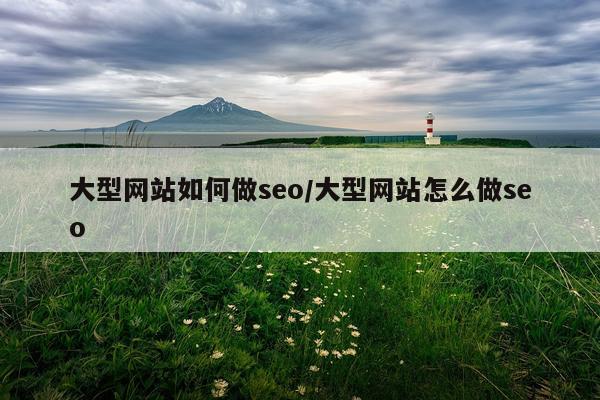 大型网站如何做seo/大型网站怎么做seo
